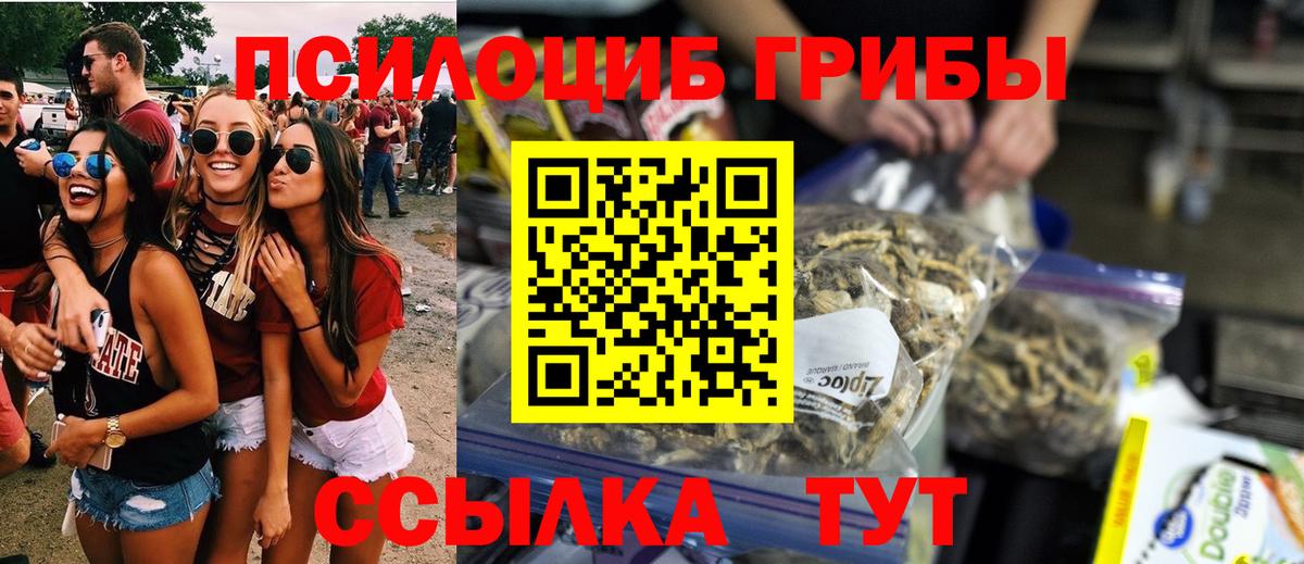 Псилоцибиновые грибы MAGIC MUSHROOMS  Галлюциногенные грибы прущие грибы  Вход с VPN  Волхов 