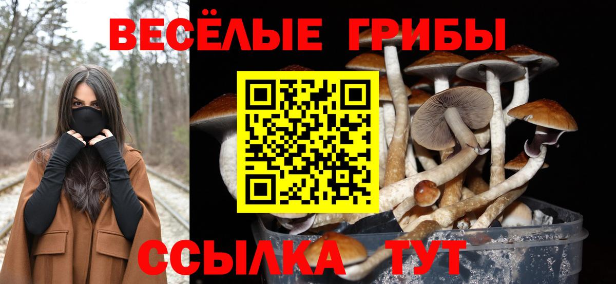 Галлюциногенные грибы GOLDEN TEACHER Волхов